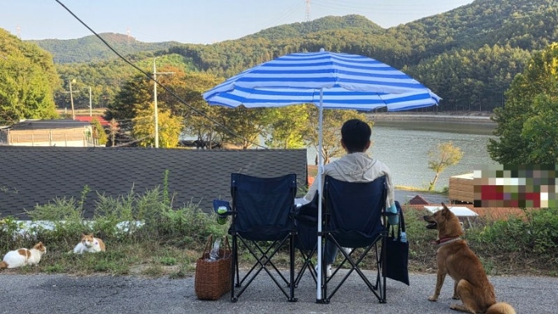 파주 가볼만한곳, 단골 드라이브코스 애룡호수 고양이 댕댕이와 힐링