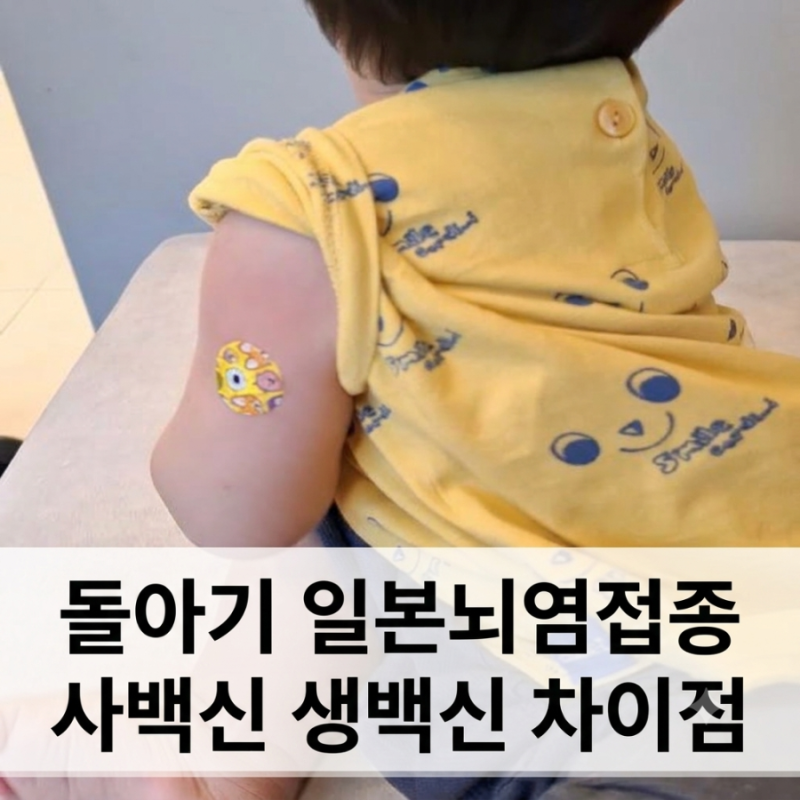 돌접종 일본뇌염, 사백신 생백신 차이와 접종 비용 알아봤어요