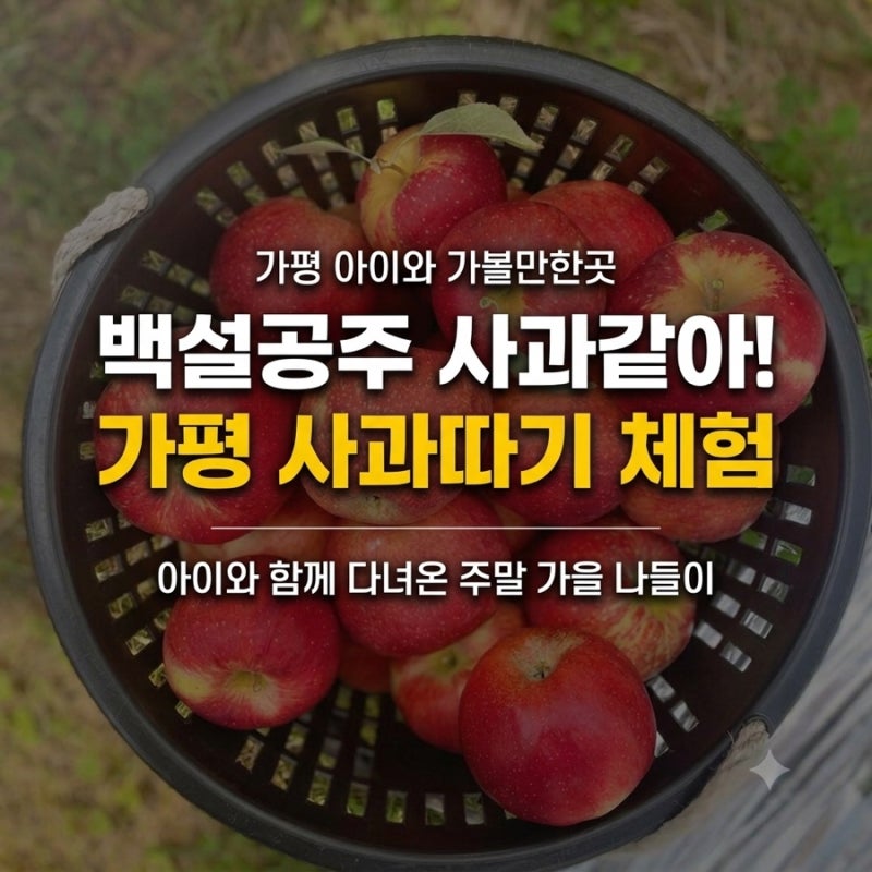 가평 아이와 가볼만한곳｜아빠 어깨까지 동원된 백설공주 해별달 사과따기 체험