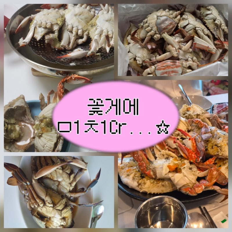 제철 꽃게 완벽 정리 | 자칭 타칭 꽃게 러버의 좋은 꽃게 고르는 법 & 수게 암게 구별법(가을 ....