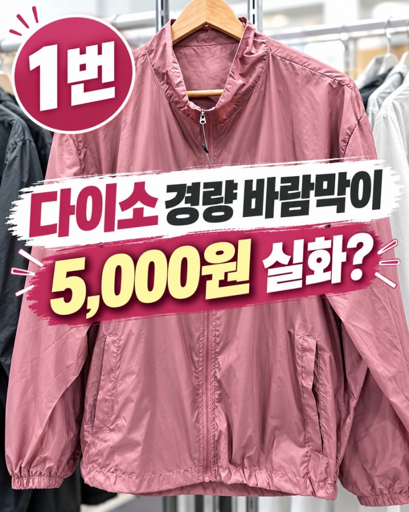 다이소 바람막이 5천원 실화? 남녀공용 나일론 경량 집업 사이즈 총정리