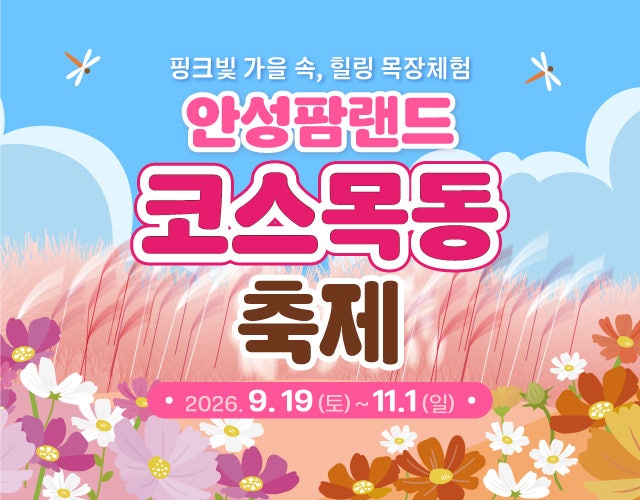 [안성팜랜드 코스모스 축제]실시간 개화 현황 링크 첨부! 헛걸음 안 하는 만개 사진 스팟 총....
