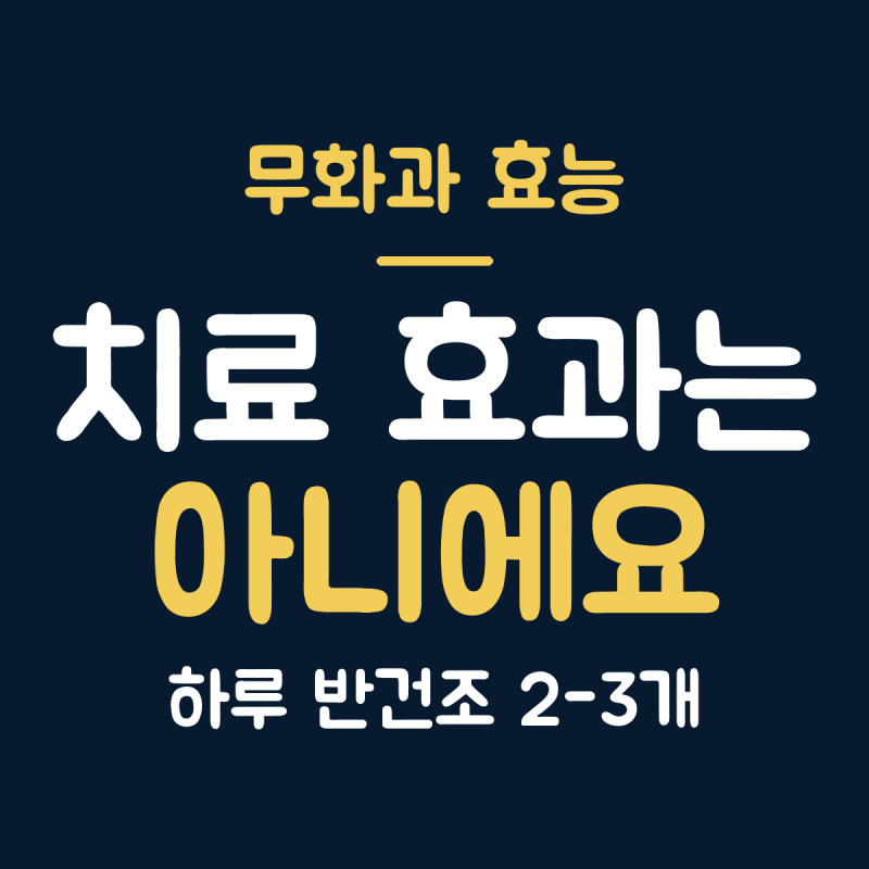무화과 효능 기능성 인정 여부와 하루 섭취량, 반건조 2~3개 기준