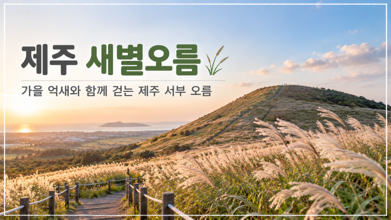 제주 새별오름 가을 억새 언제가 예쁠까, 주차·정상 소요시간까지