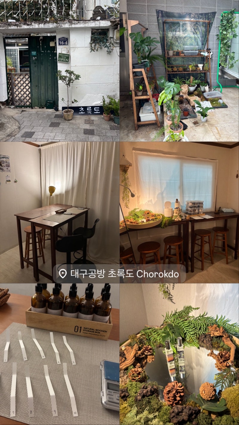 대구 향수공방 초록도, 반월당 골목에서 나만의 향수 만들기