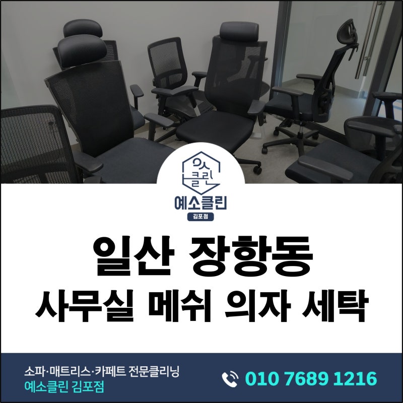 일산 장항동 사무실 메쉬의자 세탁｜등받이 먼지와 좌판 생활오염 관리 후기