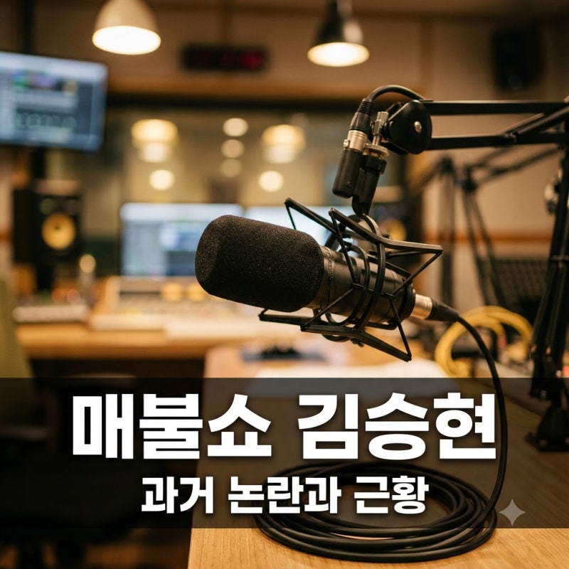 매불쇼 김승현, 시사 평론가로 뜨더니 알고 보니 징역형 판결까지..