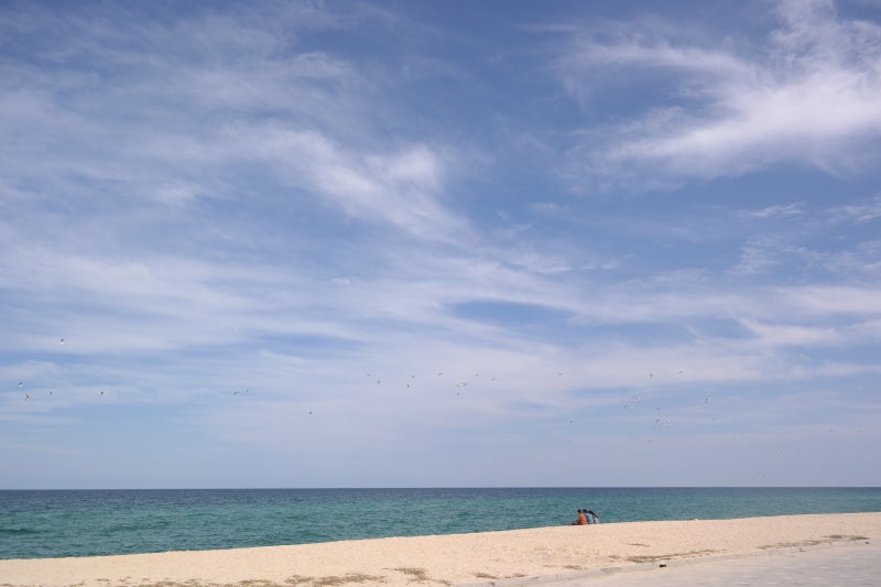 Gangneung Yeongok Beach Solhyanggi Campground | Explore Pine Forest Camping and Caravans Right by the Sea