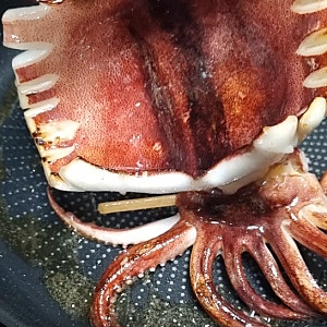 구룡포 피데기오징어 굽기 반건조오징어 에어프라이어 버터구이