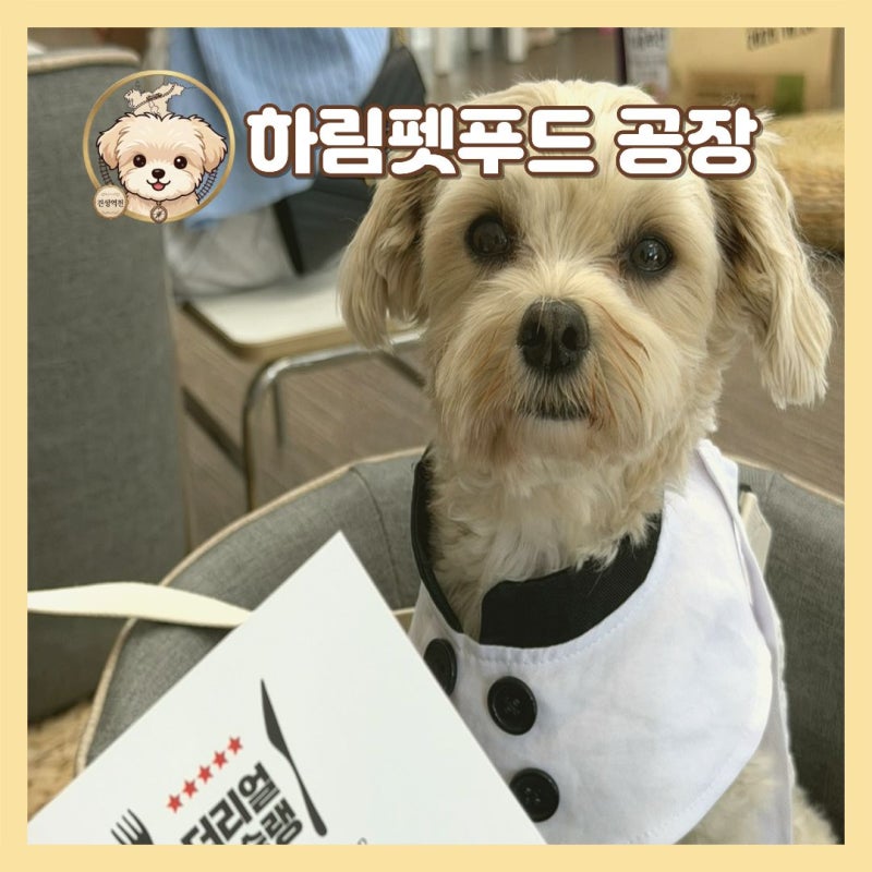 공주 하림펫푸드 공장 견학 예약 방법
