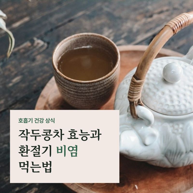 작두콩차 효능과 비염 환절기 먹는법, 콩알보다 껍질째 우려야 하는 이유