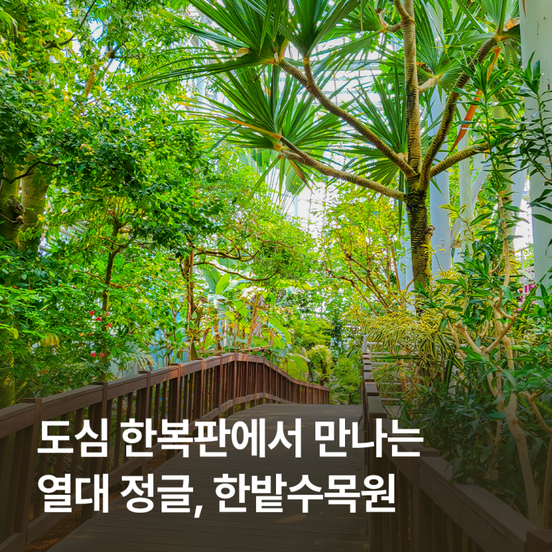 대전 주말 나들이 고민 끝! 산책부터 온실 관람까지 한밭수목원 코스 정리