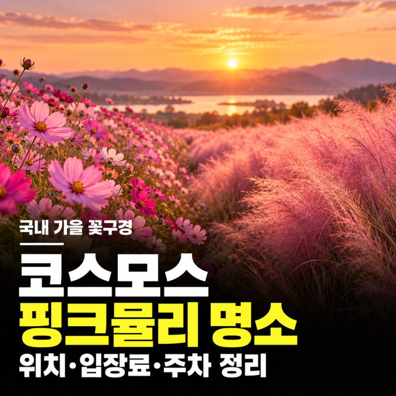 국내 코스모스와 핑크뮬리 명소, 개화 시기와 입장료·주차 정보 정리