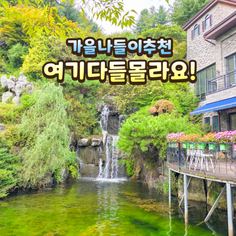 Cheonan Must-Visit: Beautiful Garden Hwasumok - Autumn Outing and Feeding Experience