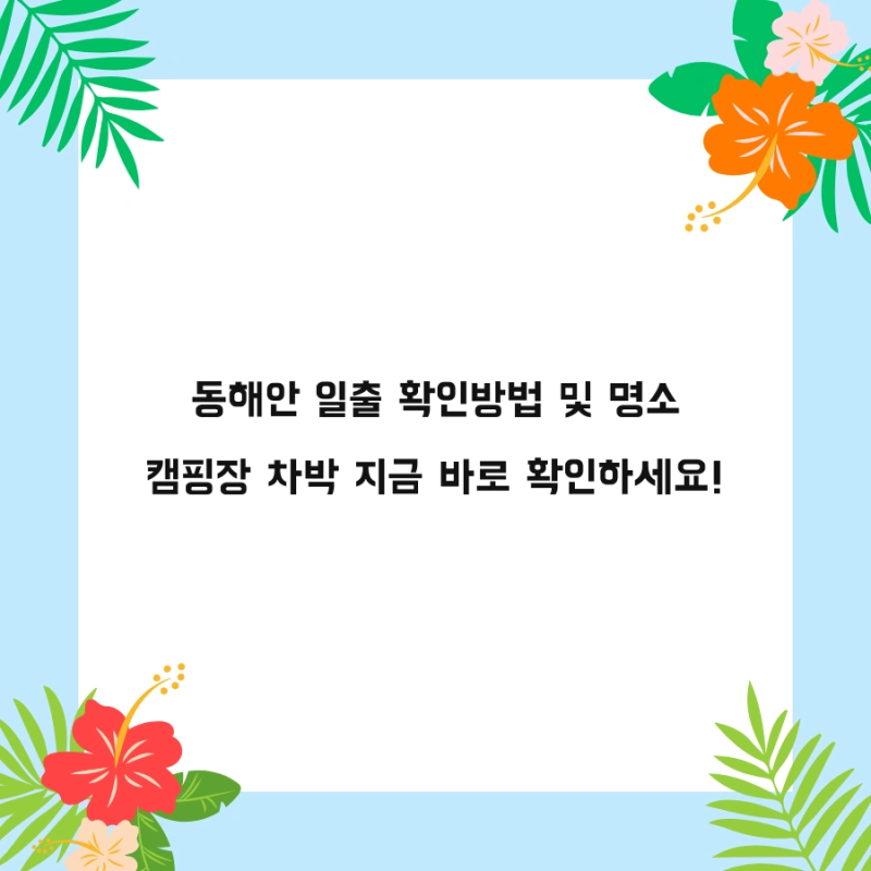 동해안 일출 확인방법 및 명소 캠핑장 차박 지금 바로 확인하세요!