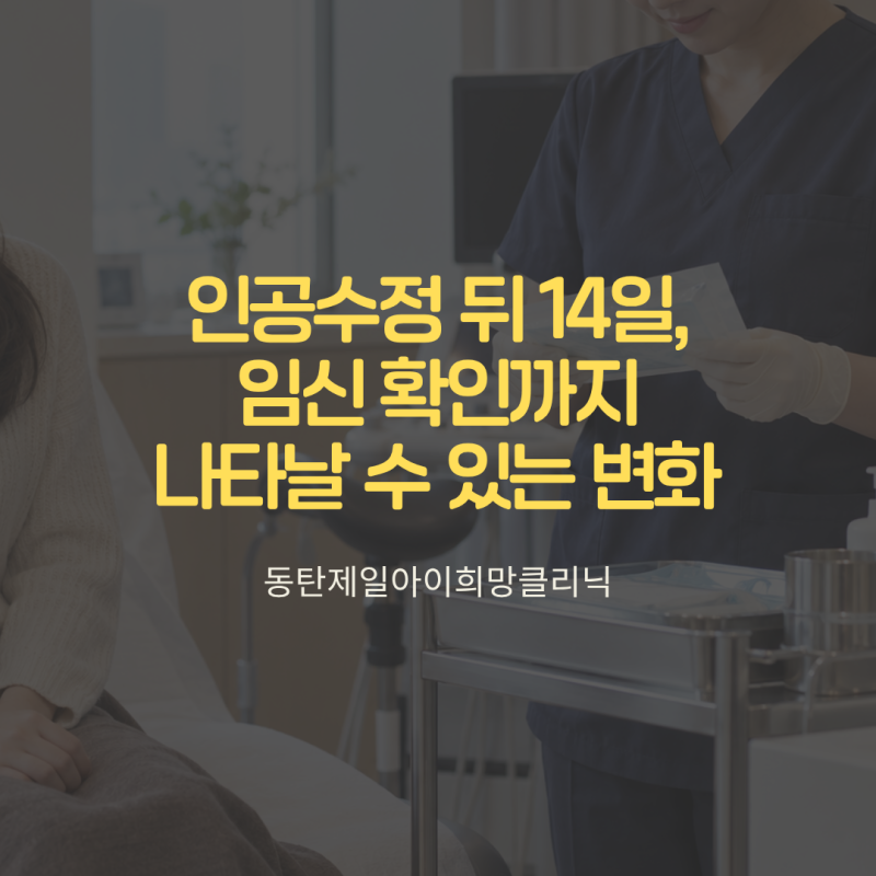 인공수정 후 착상 확인, 임테기는 언제 해야 정확할까요?출혈 해석방법