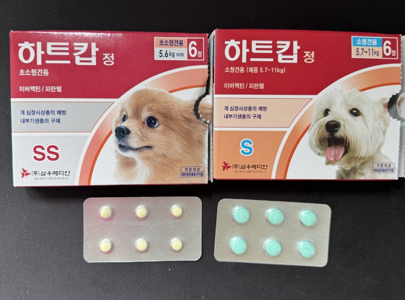 하트캅 정, 강아지용 심장사상충 (동물약 교수가 설명해드려요)