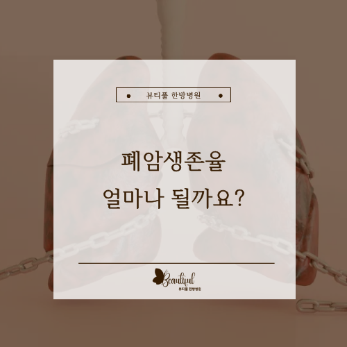 폐암생존율 통계 몇% 일까요? 1기·2기·3기·4기 병기별 5년 상대생존율
