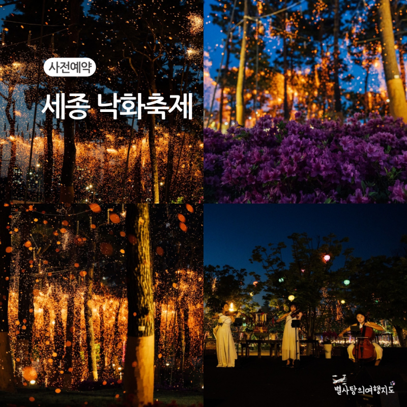 2026 세종 영평사 낙화축제 예매 일정 및 티켓팅 링크