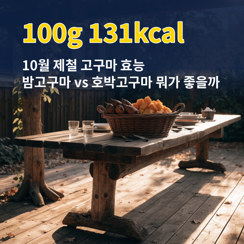 고구마 효능과 칼로리 100g 131kcal, 밤고구마 호박고구마 차이와 보관법