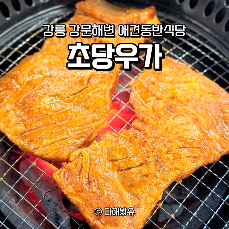 강릉애견동반식당 초당우가 강문해변맛집 아이와 먹은 돼지갈비