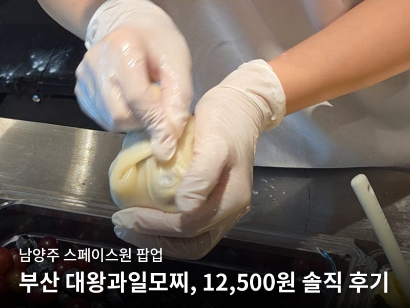 남양주 다산 현대프리미엄아울렛 김모찌 팝업, 부산 대왕과일모찌 12,500원 솔직 후기