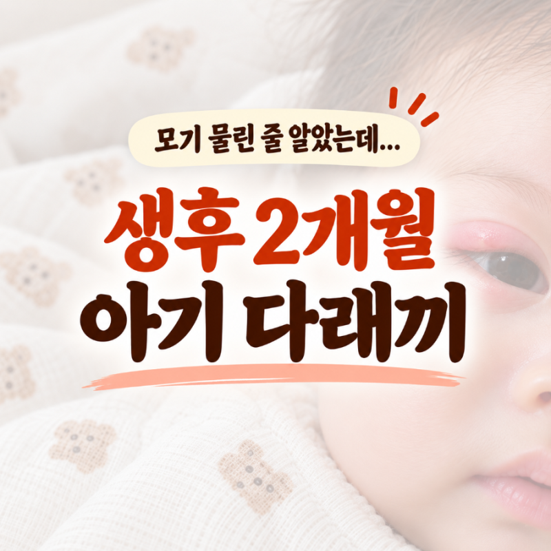 생후 2개월 아기 다래끼 경험담｜모기 물린 줄 알았는데 다래끼였어요