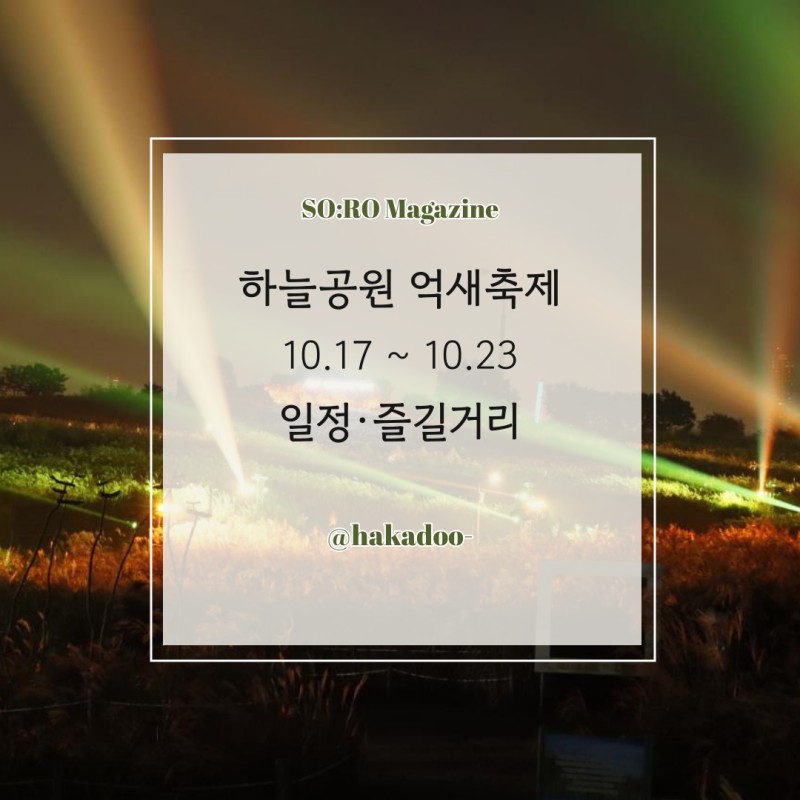 하늘공원 억새축제 2026, 일정·즐길거리와 맹꽁이열차 요금