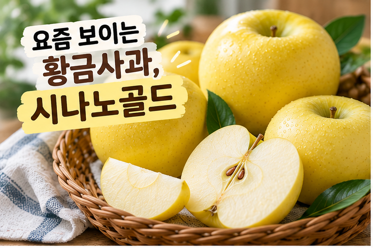 시나노골드 사과 요즘 왜 많이 찾을까?｜제철·맛·고르는 법까지