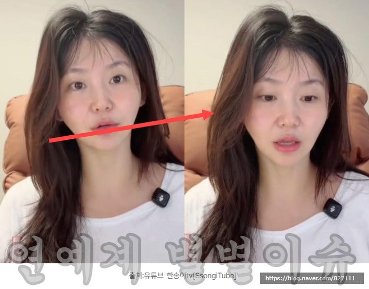 탈북 유튜버 한송이 “암살자(들), 북한 선전영화와 너무 똑같아” 작심 비판 | 나이 프로필 ....