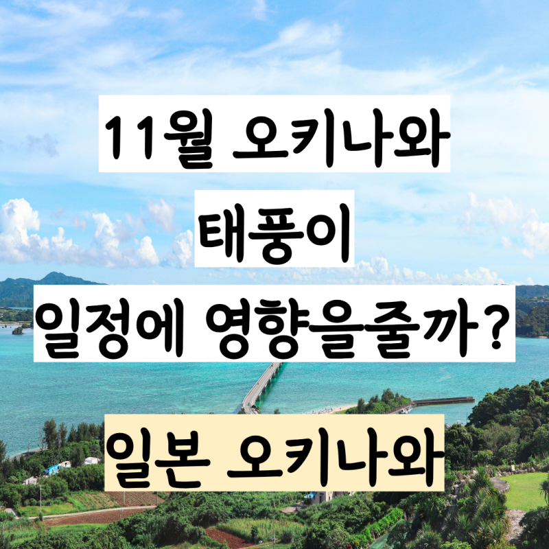 11월 오키나와 날씨, 태풍 평균 몇 개나 왔고 수영은 어떨까?