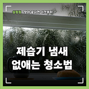 LG 제습기 청소 방법, 필터와 물통 세척부터 보관 전 건조까지 정리