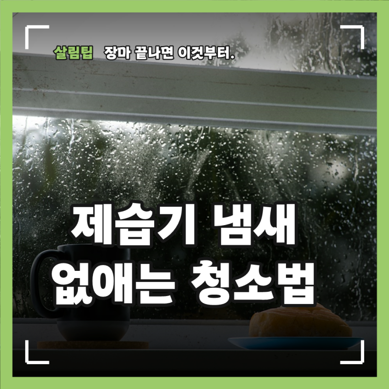 LG 제습기 청소 방법, 필터와 물통 세척부터 보관 전 건조까지 정리