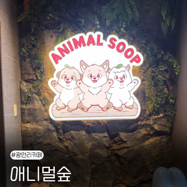 부산 아이와 가볼 만한 곳 광안리 동물카페 애니멀숲