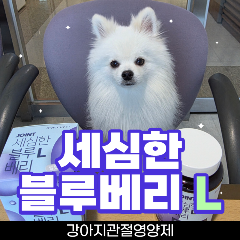 튼튼한 뼈 건강! 강아지관절영양제 강아지슬개골영양제 강아지영양제추천 아큐펫 세심한블....