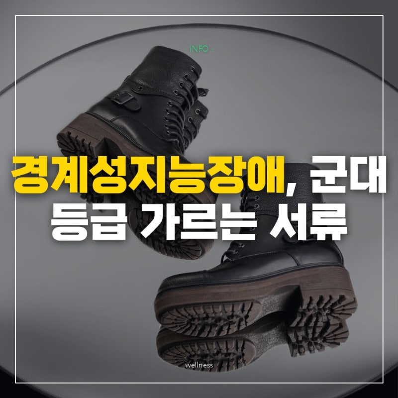 "경계성지능장애면 군대 면제라던데" 병역판정검사에서 4급과 5급을 가르는 서류와 검사
