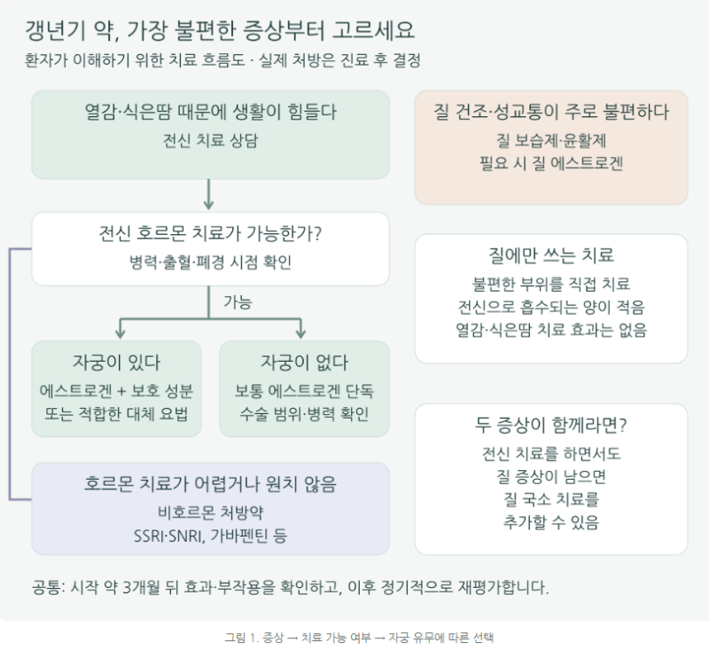 갱년기 증상 약물 치료의 모든 것, 열감·식은땀부터 질 건조까지