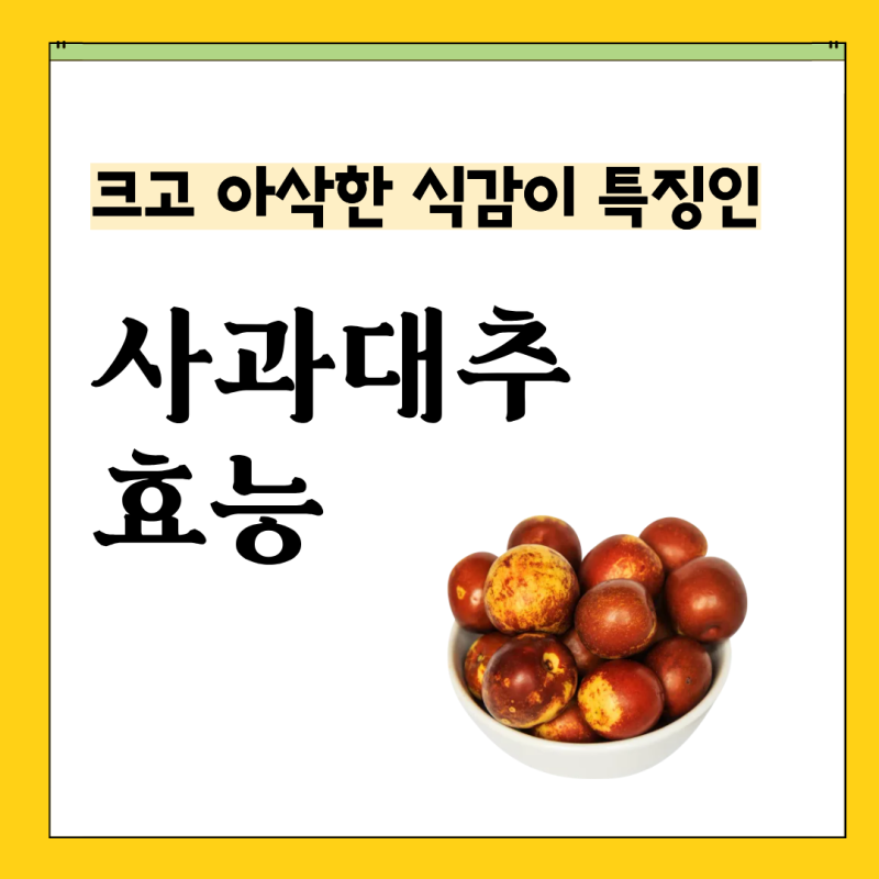 사과대추 효능 칼로리 보관법 후숙 제철 당뇨