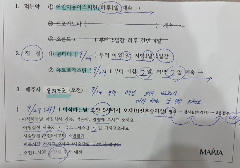 [난임일기] PART 10. 부산 마리아 병원 _ 시험관 2차 동결이식 자연주기 단점 병원 방문 횟수