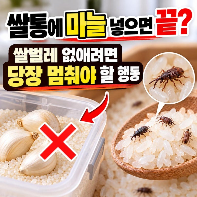 쌀통에 마늘 넣으면 끝?… 쌀벌레 박멸을 위해 당장 멈춰야 할 행동