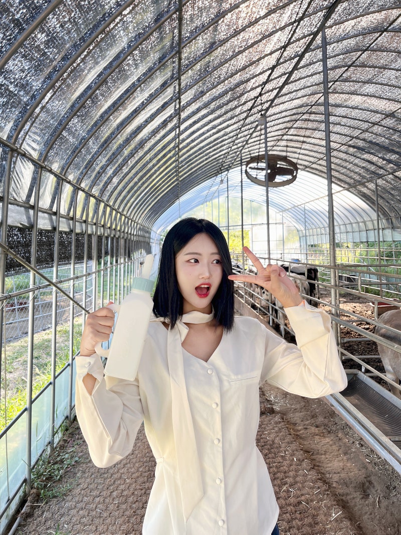 세종 가볼만한곳 정동체험마을 세종 아이랑 가볼만한곳 내돈내산 후기