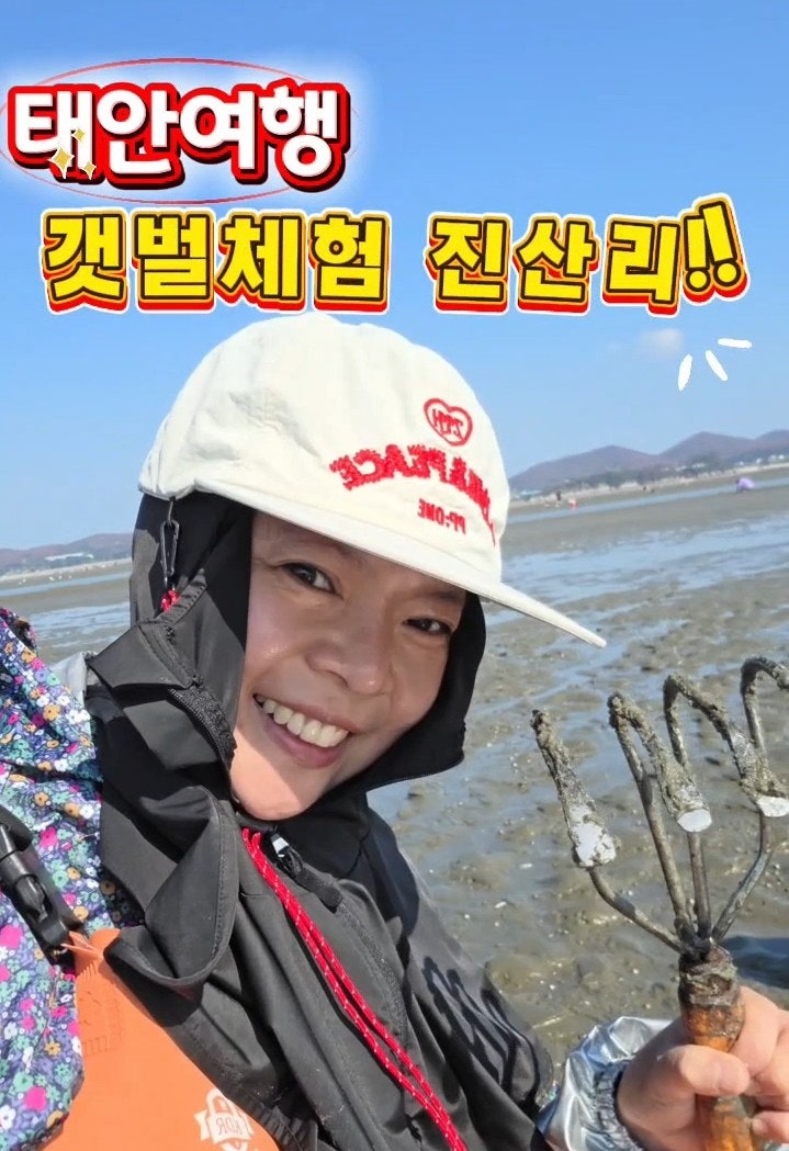 ●태안여행 갯벌체험 진산리 어촌계 동죽 맛조개 밭입니다! 잡는법 해감법