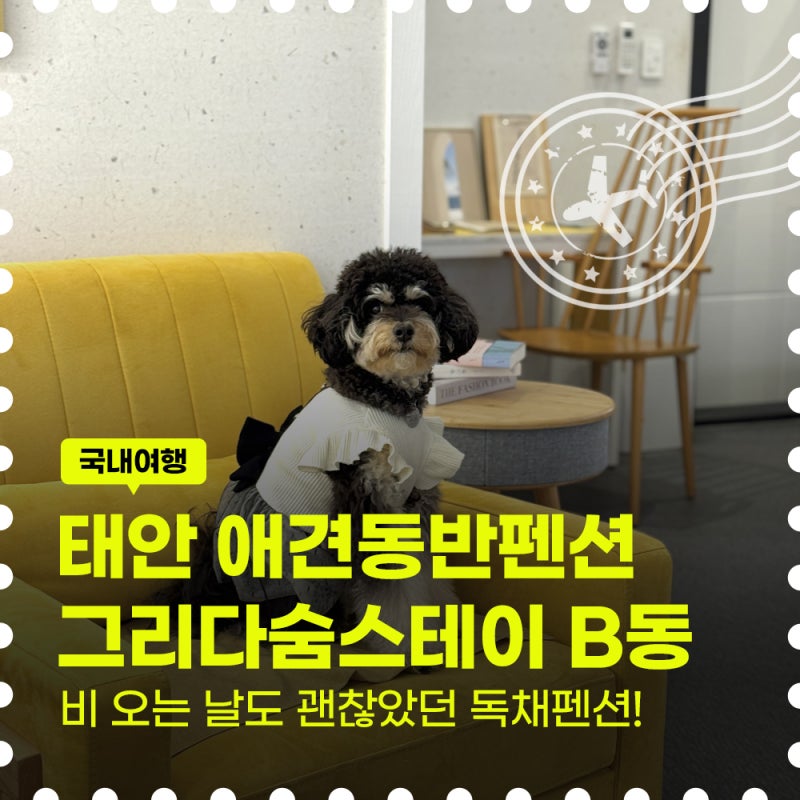 태안 애견동반펜션 독채 어디? 그리다숨스테이 B동 인조잔디 운동장 후기
