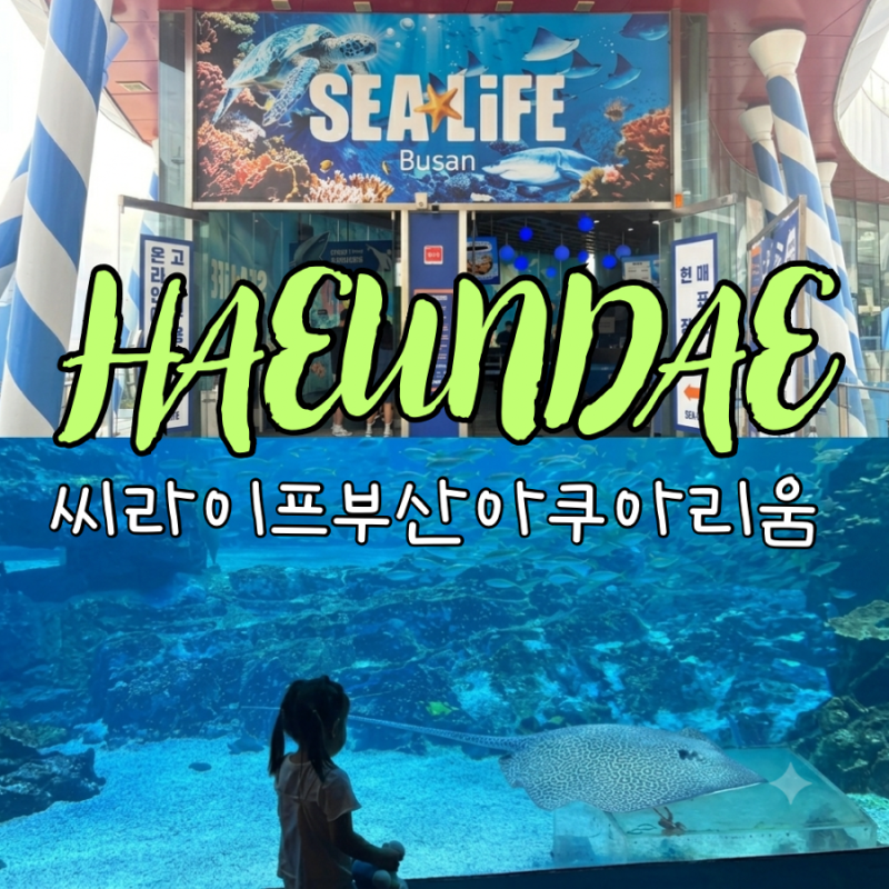 무료입장 가능한 32개월 아이랑 부산 해운대 씨라이프 아쿠아리움 가볼만한 곳 추천 ( 공연 ....