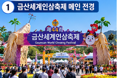2026 금산세계인삼축제 총정리일정·먹거리·주차·체험·인삼쇼핑까지 한눈에