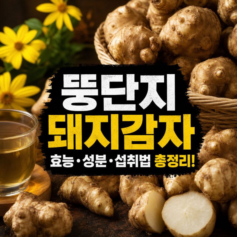 뚱단지 돼지감자 성분과 효능 건강하게 섭취하는 올바른 방법