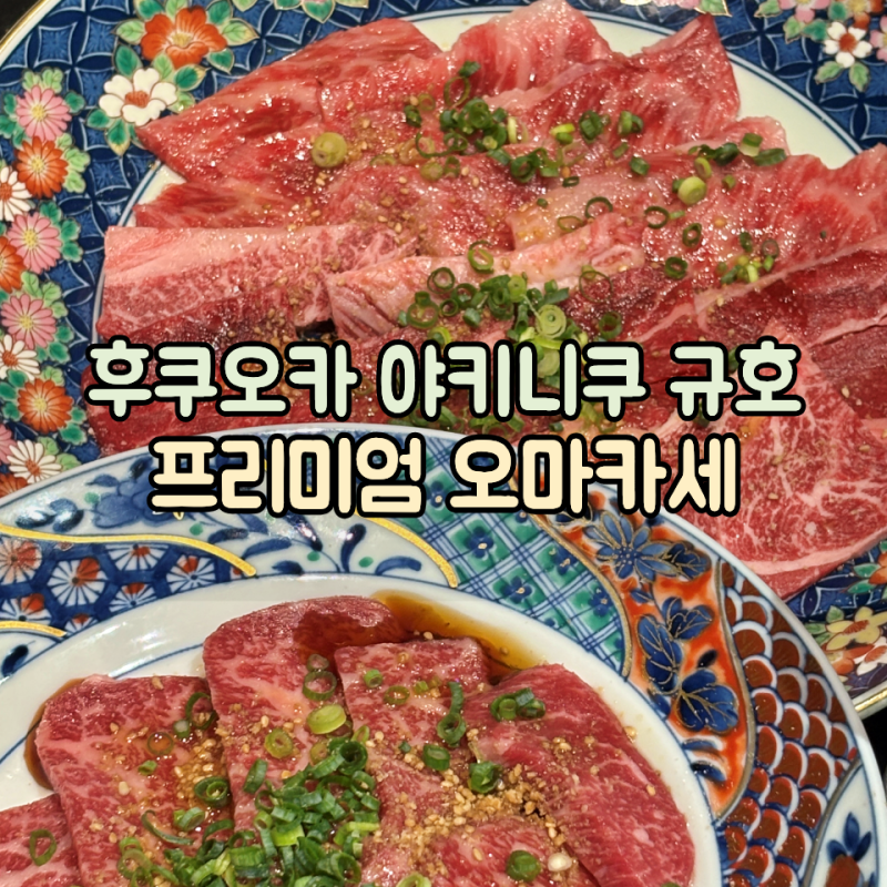 후쿠오카 텐진 야끼니꾸 오마카세 야키니쿠 규호 프리미엄 코스 후기