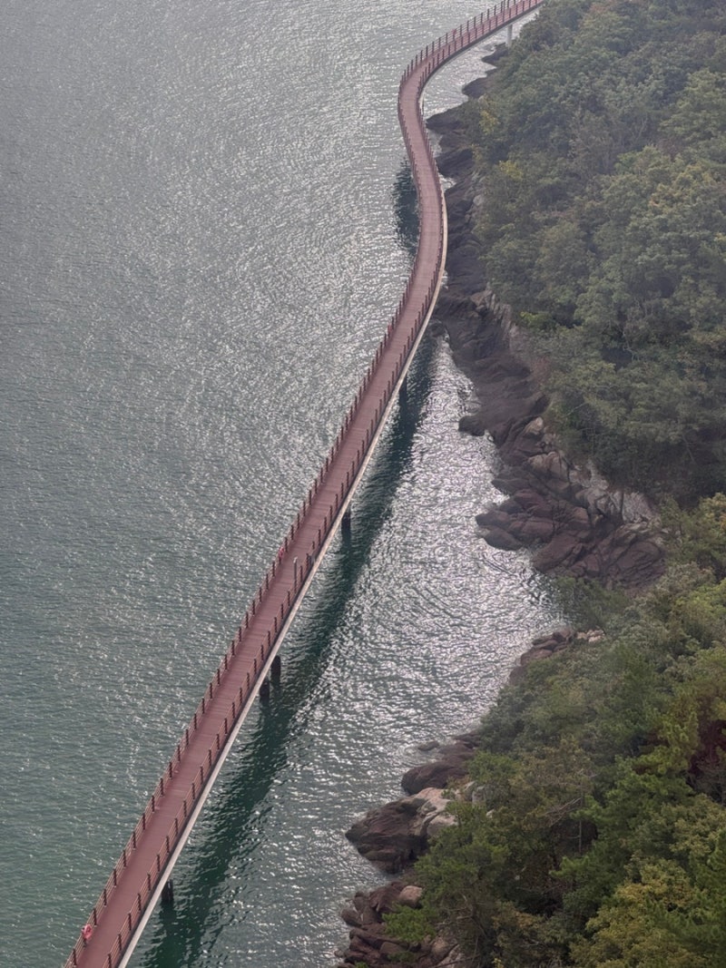 [全羅南道] 木浦旅行コースおすすめ :: 海上ケーブルカー・木浦近代歴史館・定食맛집 行くべき場所