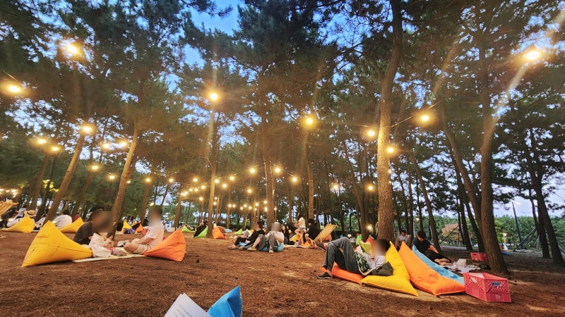 2026 부산바다도서관 다대포 북크닉 해변에서 책읽기