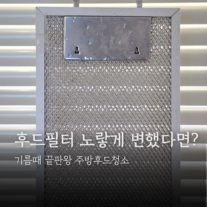 후드필터 노랗게 변했다면? 기름때 끝판왕 주방후드청소